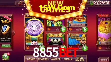 8855Bet Salvador - Statistics