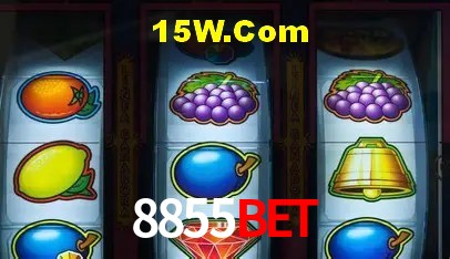 8855Bet Salvador - Promo Stats